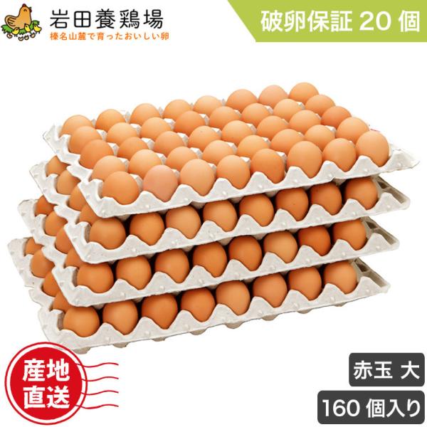 (クール便) 卵 産直 厳選赤玉大 160個入り 破卵保証20個含む 岩田養鶏場 岩田のおいしい卵 ...