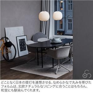 ペンダントライト レ・クリント LAMELLA...の詳細画像4