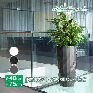 旧商品 ギルアード プラントバスケット34/32cm 48600 : サンワ