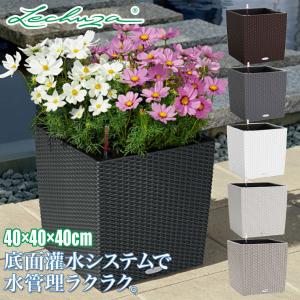 旧商品 ギルアード プラントバスケット34/32cm 48600 : サンワ