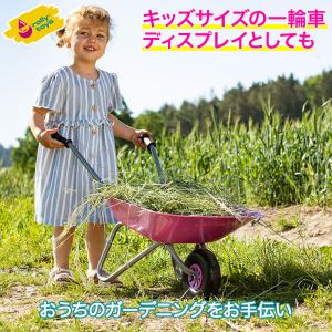 ロリートイズ rolly Classic Summer 一輪車 ピンク RT274802 子供用 手押し車 手押しカート｜sun-wa