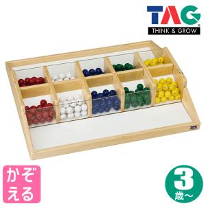 正規品)TAG 注意力と動きの予測をさせるトラッカー TGSR3 知育玩具