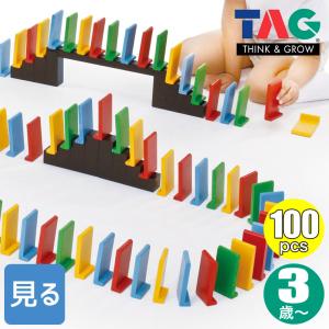 TAG 簡単に立てられるドミノセット・100pcs TGES21 知育玩具 知育 おもちゃ 木製 3歳 4歳 5歳 6歳 男の子 女の子 誕生日 プレゼント｜sun-wa