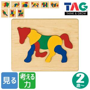 正規品)TAG 注意力と動きの予測をさせるトラッカー TGSR3 知育玩具