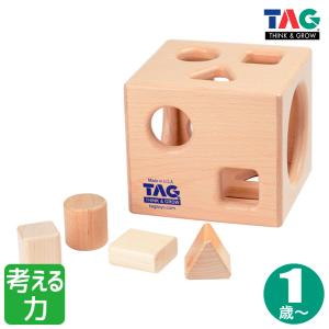 TAG 比べて理解する形のパズル TGES13 知育玩具 知育 おもちゃ 木製 2