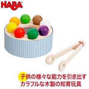 HABA education ハバ エデュケーション レインボーサラダ WF158790 おもちゃ 知育玩具 木製 誕生日プレゼント 1歳 2歳 3歳｜sun-wa