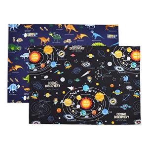 カラフルキャンディスタイル ランチョンマット スタンダード 太陽系惑星と恐竜大陸セット N3601212