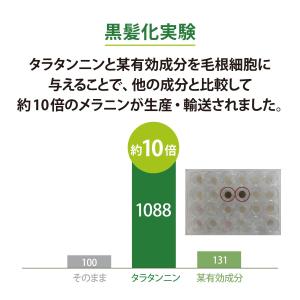 染めない白髪ケア スカルプエッセンス ダブルブ...の詳細画像4