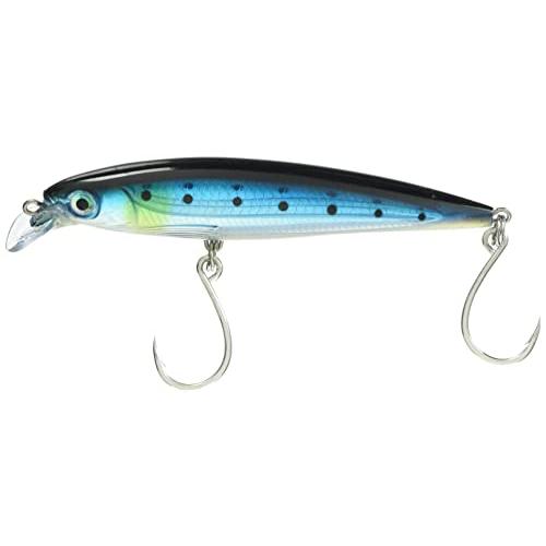 Rapala(ラパラ) ミノー Xラップ ロングキャスト 12cm 36g イワシ BSRD SXR...