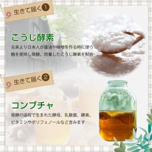 麹とコンブチャの生酵素 サプリメント 30日分の詳細画像3