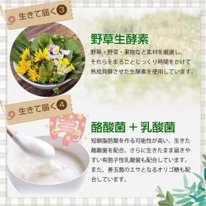 麹とコンブチャの生酵素 サプリメント 30日分の詳細画像4