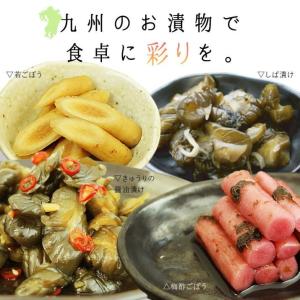 福袋 漬物 詰め合わせ 4種 人気商品 九州の彩りお漬物セッ...