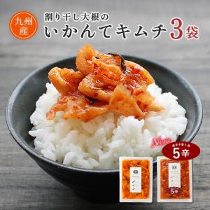 いかんてキムチ 国産 大根  110g×3袋  漬物 お取り寄せ