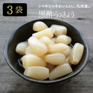 らっきょう漬け 黒酢味 110g×３袋 国産 粒サイズは不揃いです 黒酢 九州 グルメ(出荷目安：注文後1〜2週間)