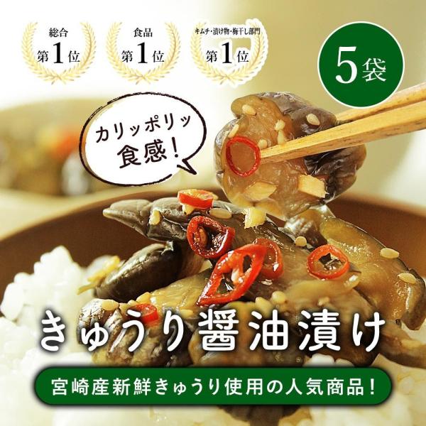 きゅうり 醤油漬け 100g×5袋 宮崎県産  36万袋売れた お漬物 九州 お取り寄せ グルメ  ...