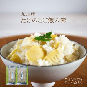九州 たけのこ ご飯の素 160g 2袋セット セール 国産 竹の子