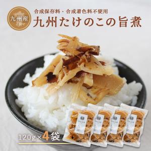 九州 たけのこ 旨煮 土佐煮 120g 4袋セット セール ゆうパケット