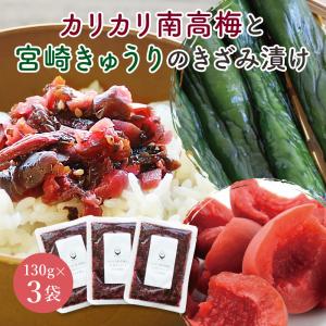 カリカリ南高梅 ３袋 国産 無添加  きゅうり 刻み漬物