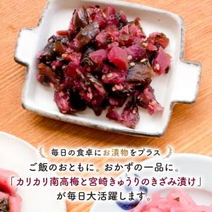 カリカリ南高梅 3袋 国産 無添加 きゅうり ...の詳細画像1