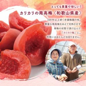 カリカリ南高梅 3袋 国産 無添加 きゅうり ...の詳細画像5