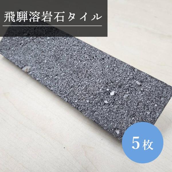 飛騨溶岩石タイル 250×80×22mm ５枚セット 1kg 天然溶岩 玄関 舗装 花壇 アプローチ...