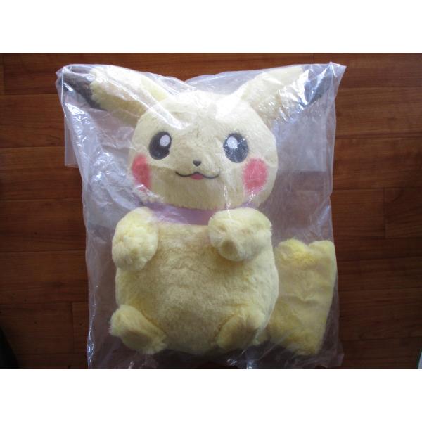 ポケモン一番くじ Pokemon for you C賞だっこしてカチュウぬいぐるみ