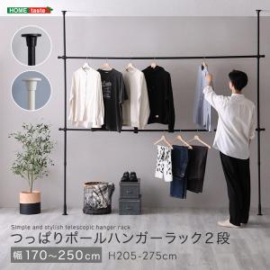 つっぱりハンガーラック　2段　幅250cm