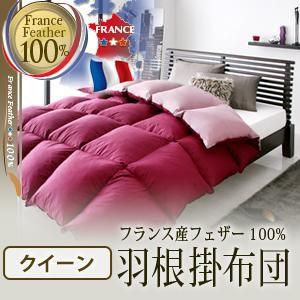 布団 フトン ふとん 掛布団クイーン  フランス産フェザー100%｜sunbridge-webshop