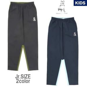 SoccerJunky（サッカージャンキー） クラウディオパンディアーニ