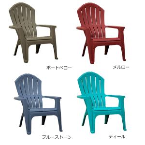 【予約9-10月頃入荷】ADAMS(アダムス)...の詳細画像2