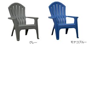 【予約9-10月頃入荷】ADAMS(アダムス)...の詳細画像3