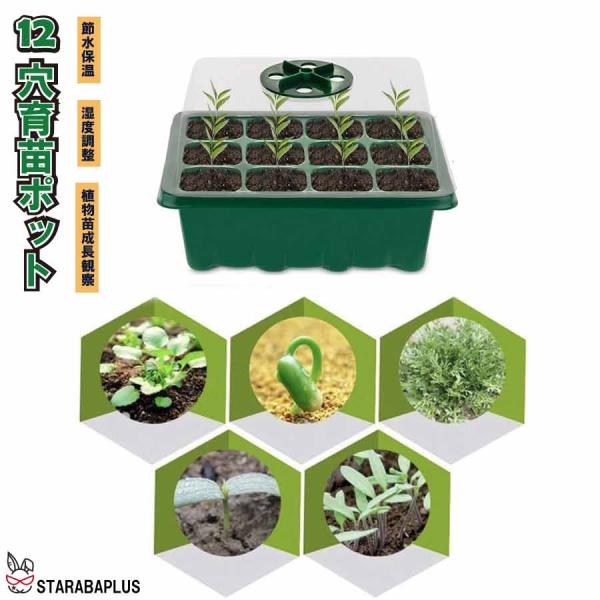 育苗トレイキット 湿度調整 苗 栽培 菜園 卓上型 プランター 屋内 植物 観葉植物  野菜 育てる...