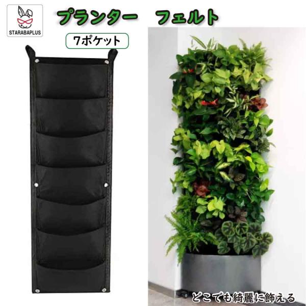 栽培ポット 吊下げ 苗 栽培 菜園 プランター 屋内 植物 観葉植物   育てる プレゼント  送料...