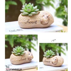 植木鉢 リス りす 母の日 ガーデニングオブジ...の詳細画像5
