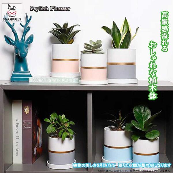 陶器鉢 植木鉢 おしゃれ 鉢植え プランター 円筒形 室内鉢 受け皿付き 穴あり 多肉植物 観葉植物...