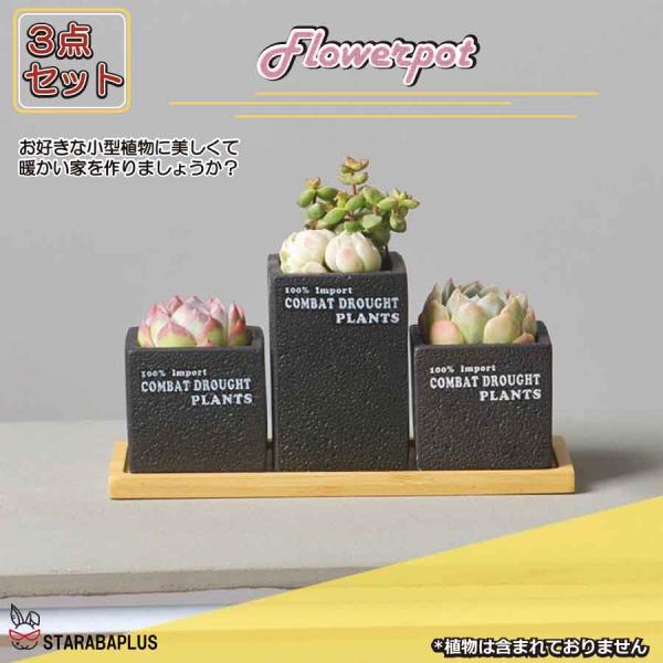 植木鉢 3点セット 多肉植物鉢 サボテン鉢 フラワーポット プランター容器  北欧 おしゃれ 卓上 ...