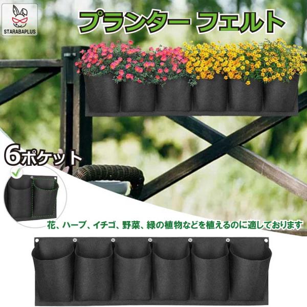 栽培ポット 吊下げ 苗 栽培 菜園 プランター 屋内 植物 観葉植物   育てる プレゼント  送料...