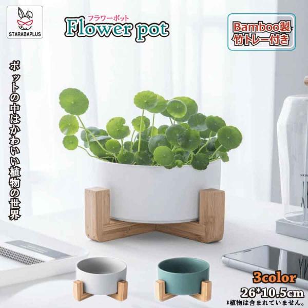 寄せ植え 植木鉢 プランタ 鉢 多肉植物鉢 サボテン鉢 竹トレー付き ハーブ セラミックス 陶器鉢 ...