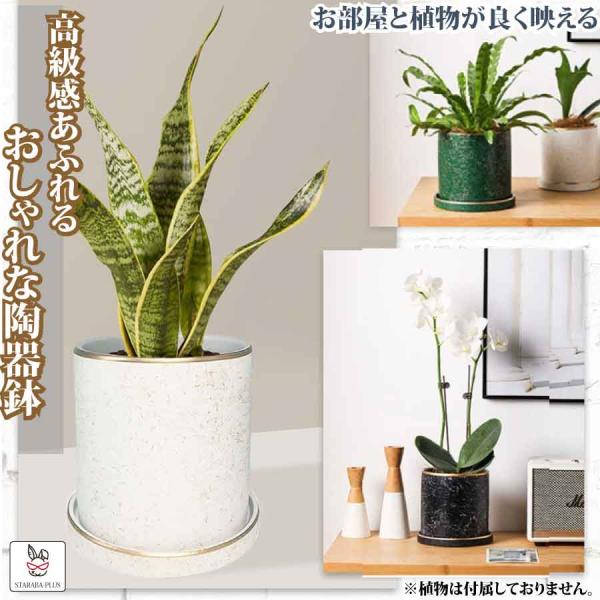 植木鉢 陶器鉢 おしゃれ 鉢植え 11cm ゴールド 円筒形 室内鉢 プランター 受け皿付き 穴あり...