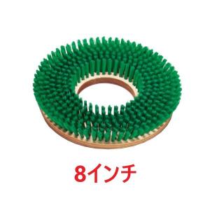 ポリッシャーブラシ 緑 (8インチ) ナイロン 木台 8インチポリッシャー用｜suncreate-store