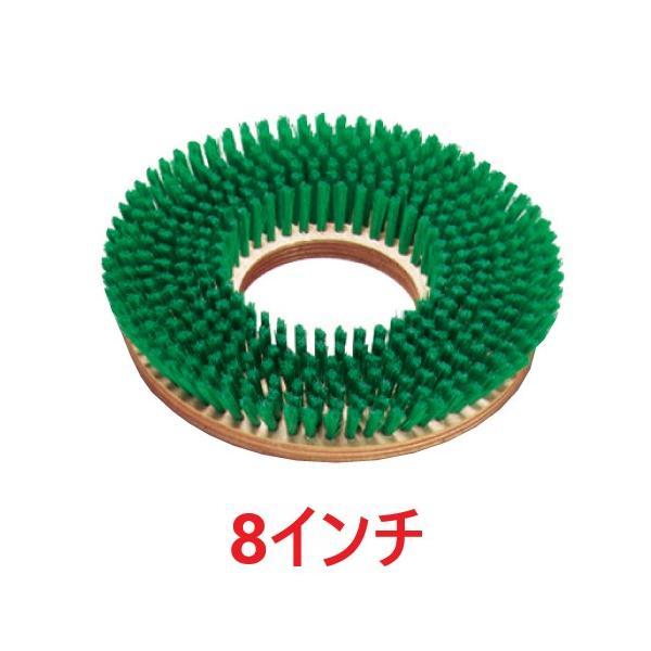 ポリッシャーブラシ 緑 (8インチ) ナイロン 木台 8インチポリッシャー用