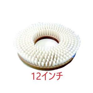 (在庫限り)(業務用) ポリッシャーブラシ 白 (12インチ) ナイロン 木台｜suncreate-store