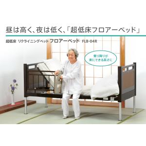 フランスベッド（FRANCEBED） 3モーター ベッド エスポア 91cm幅