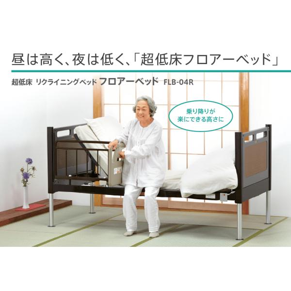 フランスベッド 超低床フロアーベッド 標準 (背・脚・昇降) FLB-04R FLP付固定脚 組み立...