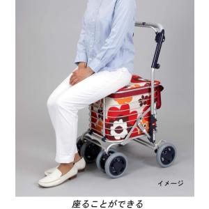 ユーバ産業 スワレル バッグ付き AS-027...の詳細画像2