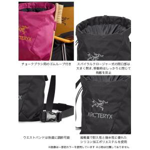 ARC TERYX アークテリクス イオンライ...の詳細画像4