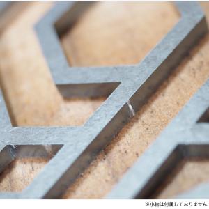 フジノハガネ ロッカジャナクテリッカFB フラ...の詳細画像5