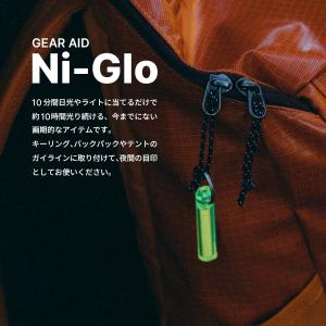 GEAR AID ギアエイド ナイグロー NI...の詳細画像2