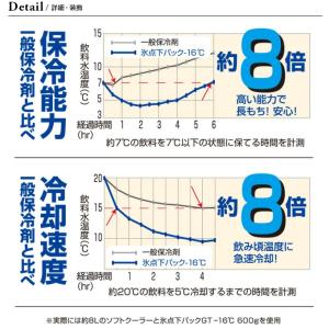 LOGOS ロゴス 氷点下パックGT-16C・...の詳細画像1