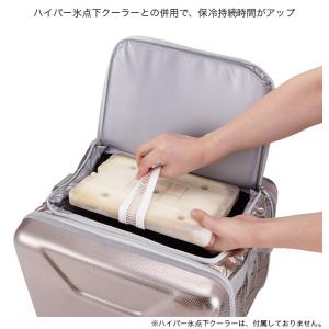 LOGOS ロゴス 氷点下パックGT-16℃・...の詳細画像1